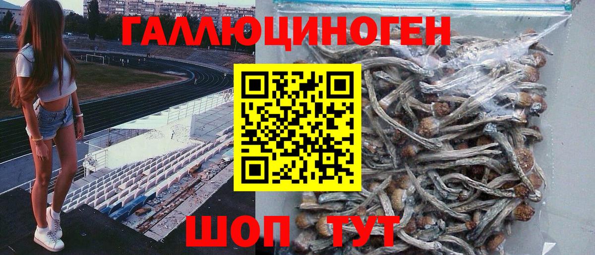 Псилоцибиновые грибы Psilocybe Баксан