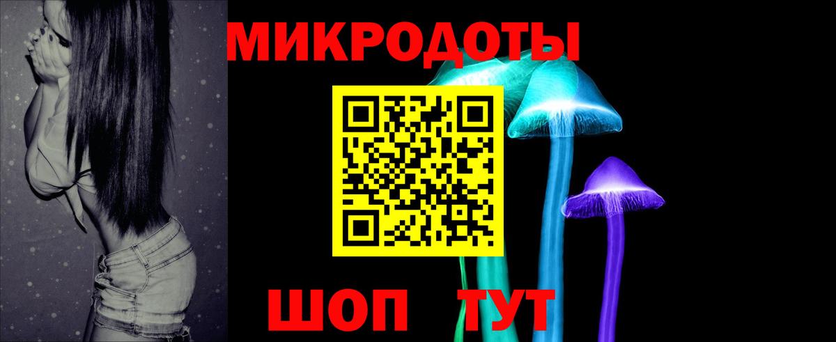 Баксан  Псилоцибиновые грибы Psilocybe  Вход с VPN 